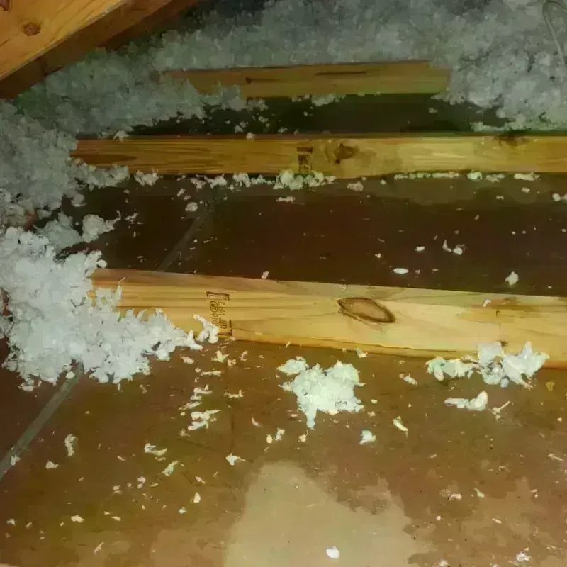 Attic Water Damage in Bolinas, CA